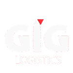 newlogo.e91a1900-removebg-preview